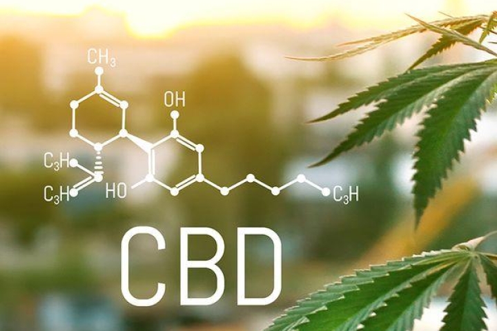 CBD vs THC: Everything You Need to Know
