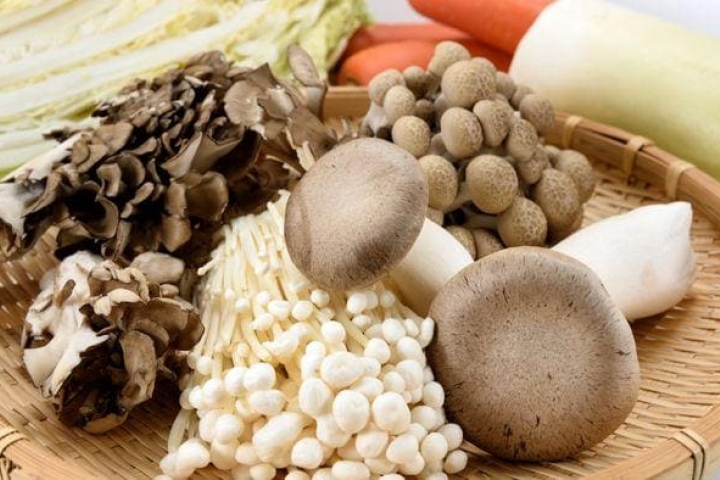 5 Mushrooms for Immune Health