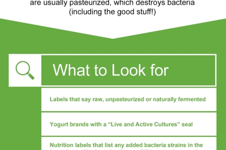 The Probiotic-Rich Foods You Need to Know About