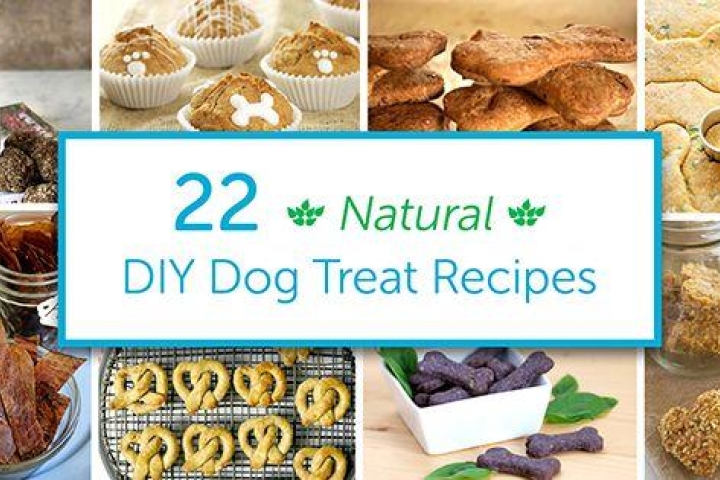 Skip the Toxic Ingredients with These 22 DIY Natural Dog Treats