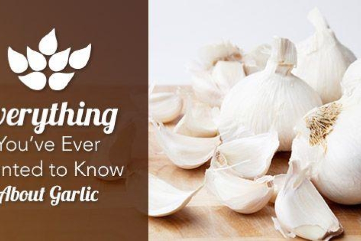 40 Things You Probably Didn’t Know About Garlic